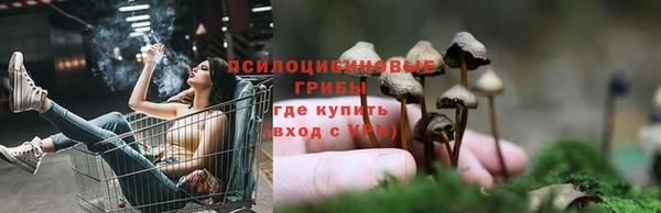 амфетамин Осинники