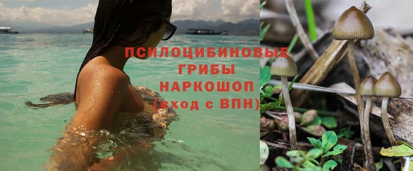 альфа пвп Остров