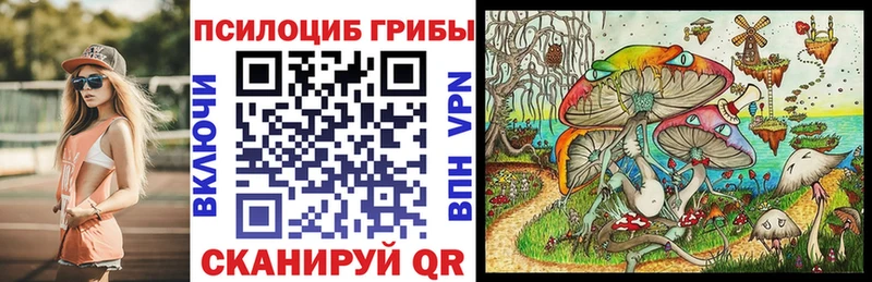 хочу наркоту Красный Кут Псилоцибиновые грибы ЛСД